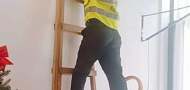 深圳市殺蟲公司/消殺中心/專業白蟻防治/塵螨類 深圳市殺蟲公司/消殺中心/專業白蟻防治/塵螨類